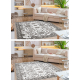 Tappeto MATEO 8037/944 Moderno cornice, fiori - strutturale grigio / beige