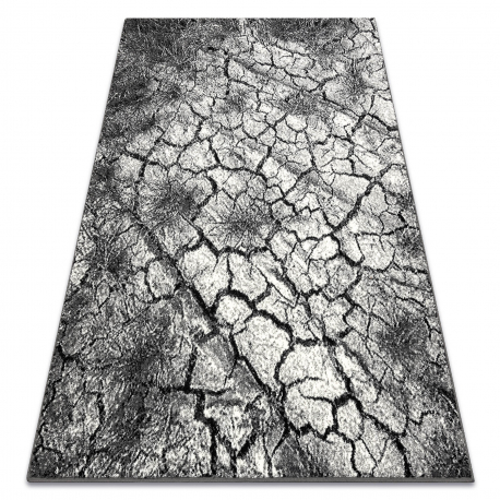 Carpet SILVER Terra cracked ground grey
