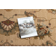 Vlnený koberec POLONIA Loare rám krémová