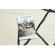 Modern covor MODE 8377 abstractizare crem / negru