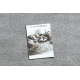 Teppich SOFTY glatt, einfarbig grau