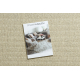 Vlněný koberec VILLA 8986/69400 Jednobarevný SIZAL, plošně tkaný béžový 