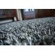 Koberec SHAGGY BRILLIANT 100 sivá