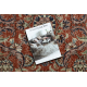 HAND-KNOTTED woolen carpet Vintage 10181, frame, flowers - terracotta / green