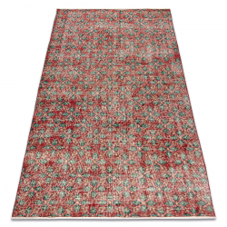 HAND-KNOTTED woolen carpet Vintage 10399 Leaves - red / green
