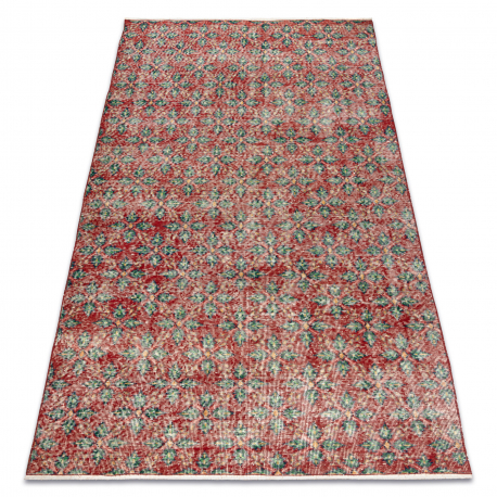 HAND-KNOTTED woolen carpet Vintage 10399 Leaves - red / green