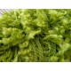 Fitted carpet SHAGGY 5cm green
