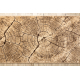 Kiliminiu taku KARMEL Tronko Medžio mediena, riešutas 60 cm