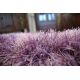 Paklājs LOVE Shaggy dizains 93600 violeta