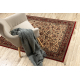 Wool carpet KASHQAI 4362 102 ornament beige / claret