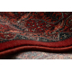 Wollen tapijt KASHQAI 4302 300 Bloemen, kader rode kleur