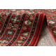 Wollen tapijt KASHQAI 4372 300 Bloemen, kader rode kleur