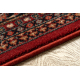 Tapis en laine KASHQAI 4309 300 oriental, cadre bordeaux