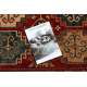Dywan wełniany KASHQAI 4306 300 orientalny, ramka terakota / beż