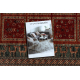 Wollen tapijt KASHQAI 4349 300 oosters, kader terracotta / groen