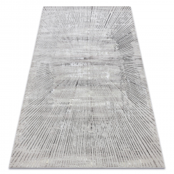 Tapis BLISS Z206AZ256 gris clair / gris - Lignes, moderne, structurel