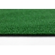 ARTIFICIAL GRASS SPRING roll