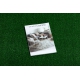 ARTIFICIAL GRASS SPRING roll