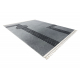 Carpet AMOUR 53116D grey - Geometric, lines modern, elegant