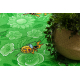 Carpet wall-to-wall MAYA THE BEE green