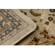 Carpet ROYAL E0177 Frame, rosette - beige / brown