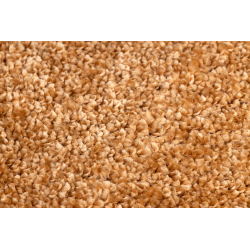 Teppichboden SANTA FE gold 80 eben, glatt, einfarbig