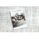 Modern carpet DUKE A0357 cream - Vintage, structured, very soft, fringes