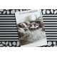 Doormat BH 701 Stones, antislip, outdoor, indoor, gum - silver