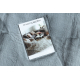 Modern TEDDY NEW dream 47 shaggy, plysch, mycket tjock silver