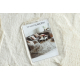 Alfombra moderna TEDDY NEW wool 45 shaggy, felpa, muy gruesa crema