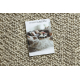 Wollen tapijt TAHAR 99005G grijs / beige - HANDGEWEVEN lus, uniform