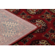 Tapis en laine OMEGA BUCHARA Cadre, cercles rubis