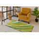 Tapis SHAGGY S113 vert