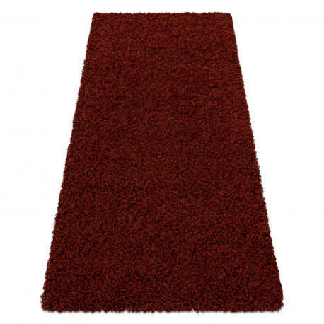 SHAGGY Teppich 001 H rotwein 