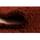 SHAGGY Teppich 001 H rotwein 