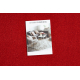 ARTIFICIAL GRASS FIRE red roll