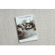 Teppich BALANCE 0194 Sahne - Geometrisch, strukturell, glamour