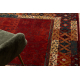 Wool carpet OMEGA LUMENA ethnic, ruby