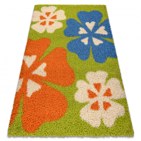 Tapis SHAGGY 096 y Fleurs vert / beige