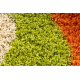 Tapis SHAGGY 096 y Fleurs vert / beige