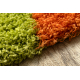 Tapis SHAGGY 096 y Fleurs vert / beige