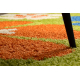 Alfombra SHAGGY 096 y Flores verde / beige