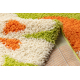 Tapis SHAGGY 096 y Fleurs vert / beige