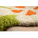 Tapis SHAGGY 096 y Fleurs vert / beige