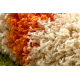 Tapis SHAGGY 096 y Fleurs vert / beige
