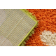 Tapis SHAGGY 096 y Fleurs vert / beige