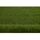 Artificial grass ORYZON - Cypress Point