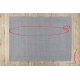 Tapis TIMO 5979 SIZAL extérieur cadre gris clair - PRODUIT DE DEUXIÈME QUALITÉ