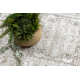 Alfombra SAMPLE FLANELL 230 2406226-7 Ornamento marco beige