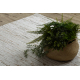 Teppich SAMPLE SANTANA C2607A Linien creme / terrakotta